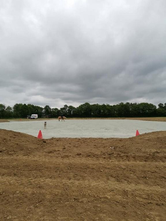 Carrière à chevaux